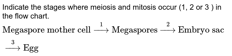 Indicate the stages where meiosis and mitosis occur (1, 2 or 3 ) in the flow chart. "Megaspore mother cell"overset(1)rarr"Megaspores"overset(2)rarr"Embryo sac" overset(3)rarr"Egg"