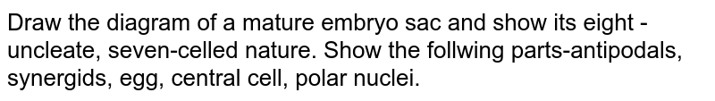 Draw the diagram of a mature embryo sac and show its eight -nucleate, seven-celled nature. Show the following parts-antipodals, synergids, egg, central cell, polar nuclei.