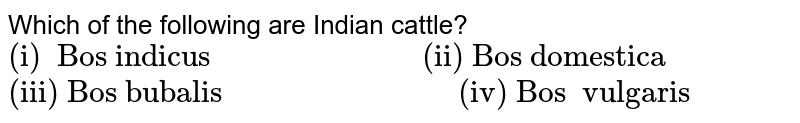 Which of the following are Indian cattle? "(i) Bos indicus"" ""(ii) Bos domestica" "(iii) Bos bubalis"" ""(iv) Bos vulgaris"