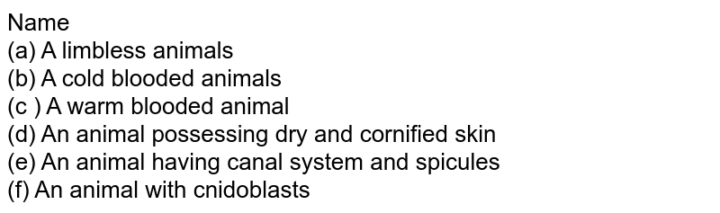 Name (a) A limbless animals (b) A cold blooded animals (c ) A warm blooded animal (d) An animal possessing dry and cornified skin (e) An animal having canal system and spicules (f) An animal with cnidoblasts