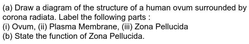 (a) Draw a diagram of the structure of a human ovum surrounded by corona radiata. Label the following parts : (i) Ovum, (ii) Plasma Membrane, (iii) Zona Pellucida (b) State the function of Zona Pellucida.