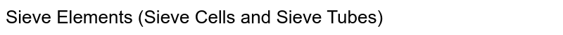 Sieve Elements (Sieve Cells and Sieve Tubes)