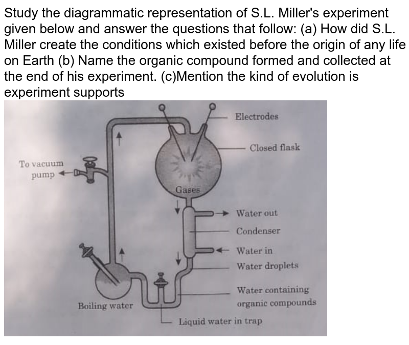 Mention the contribution of S.L. Miller experiments on Origin of l