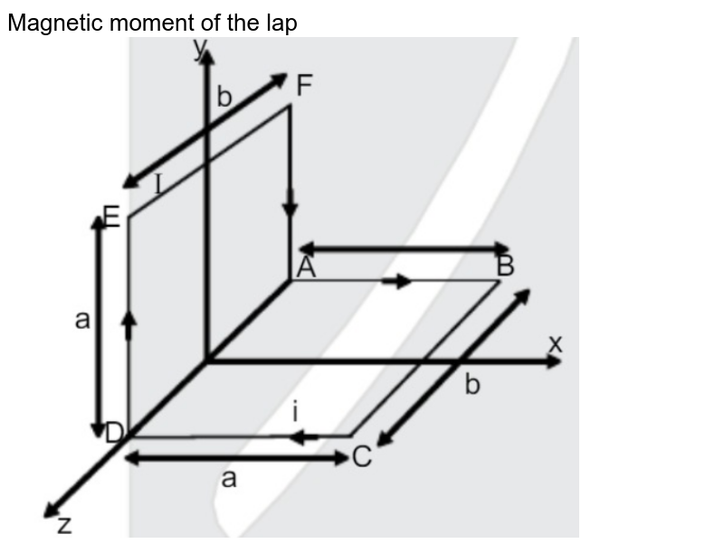 Magnetic moment of the lap