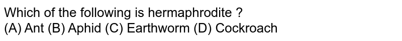 Which of the following is hermaphrodite ? (A) Ant (B) Aphid (C) Earthworm (D) Cockroach