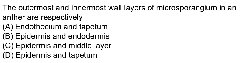 The outermost and innermost wall layers of microsporangium in an anther are respectively (A) Endothecium and tapetum (B) Epidermis and endodermis (C) Epidermis and middle layer (D) Epidermis and tapetum