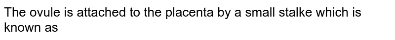 The ovule is attached to the placenta by a small stalke which is known as (A) Hilum (B) Funicle (C) Nucellus (D) Chalaza