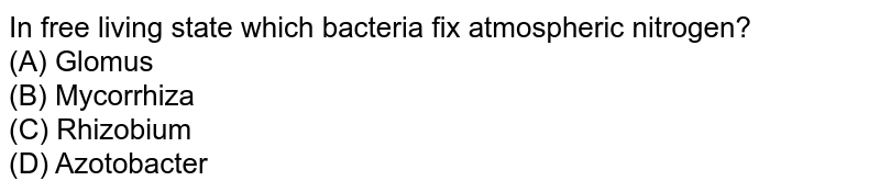 In free living state which bacteria fix atmospheric nitrogen? (A) Glomus (B) Mycorrhiza (C) Rhizobium (D) Azotobacter
