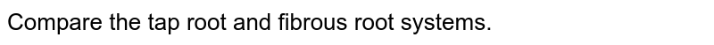Compare the tap root and fibrous root systems.