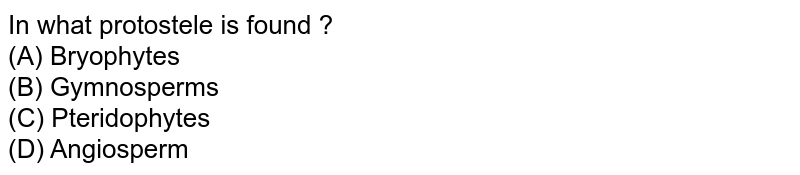 In what protostele is found ? (A) Bryophytes (B) Gymnosperms (C) Pteridophytes (D) Angiosperm