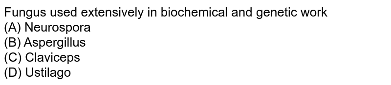 Fungus used extensively in biochemical and genetic work (A) Neurospora (B) Aspergillus (C) Claviceps (D) Ustilago
