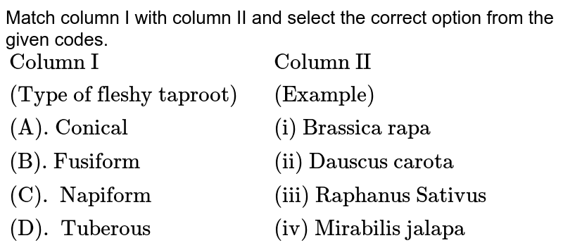 Match column I with column II and select the correct option from the given codes. {:("Column I",,"Column II"),("(Type of fleshy taproot)",,"(Example)"),("(A). Conical",,"(i) Brassica rapa"),("(B). Fusiform",,"(ii) Dauscus carota"),("(C). Napiform",,"(iii) Raphanus Sativus"),("(D). Tuberous ",, "(iv) Mirabilis jalapa"):}