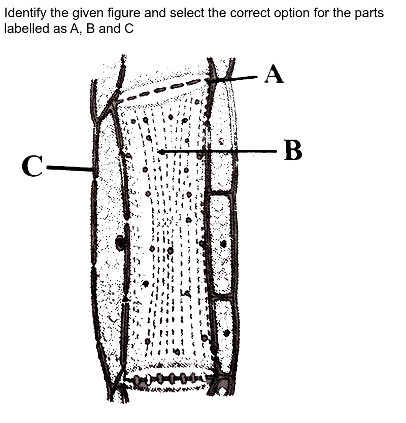 Identify The Parts Labelled A B C And D In The Given Figure And