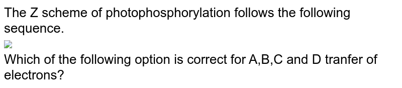 The Z scheme of photophosphorylation follows the following sequence. <br> <img src="https://d10lpgp6xz60nq.cloudfront.net/physics_images/NCERT_FING_BIO_OBJ_XI_PHP_C13_E01_037_Q01.png" width="80%"> <br> Which of the following option is correct for A,B,C and D tranfer of electrons?
