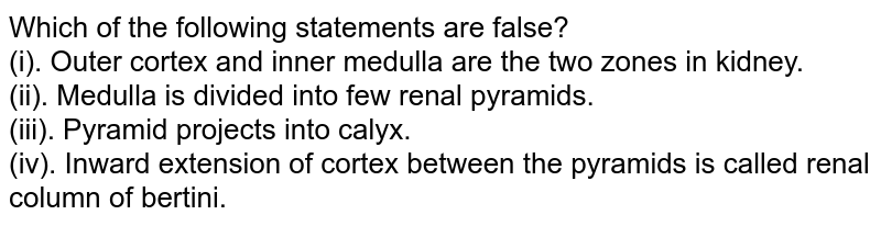 Which of the following statements are false? <br> (i). Outer cortex and inner medulla are the two zones in kidney. <br> (ii). Medulla is divided into few renal pyramids. <br> (iii). Pyramid projects into calyx. <br> (iv). Inward extension of cortex between the pyramids is called renal column of bertini.