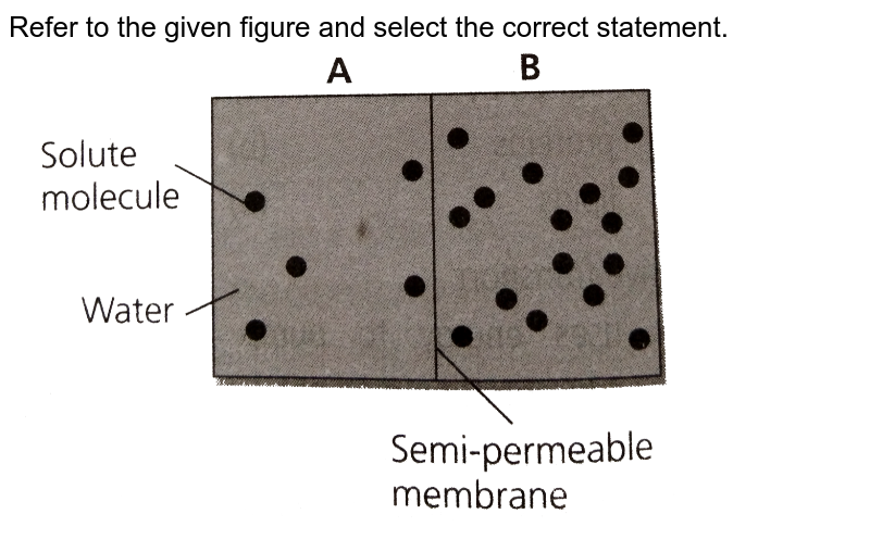 Refer to the given figure and select the correct statement. <br> <img src="https://d10lpgp6xz60nq.cloudfront.net/physics_images/NCERT_FING_BIO_OBJ_XI_TP_C11_E01_030_Q01.png" width="80%">