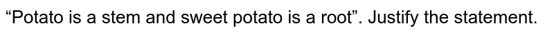 “Potato is a stem and sweet potato is a root”. Justify the statement.