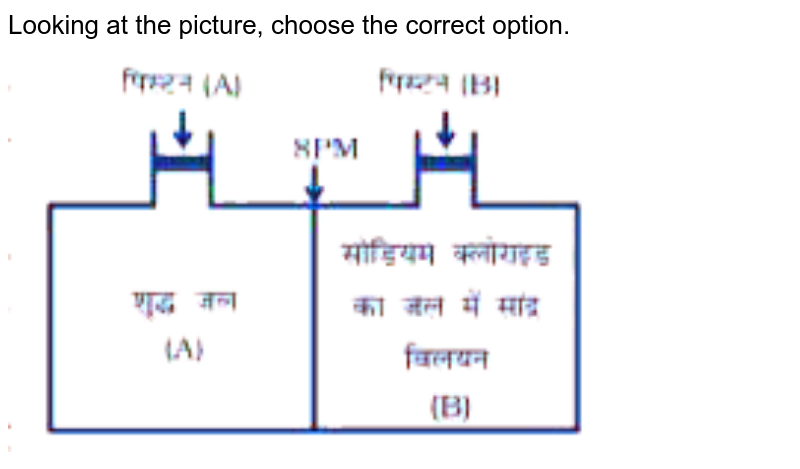Looking at the picture, choose the correct option.