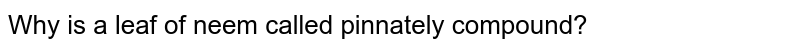 Why is a leaf of neem called pinnately compound?