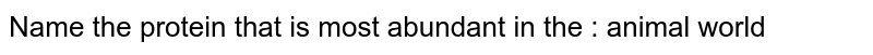 Name the protein that is most abundant in the : animal world