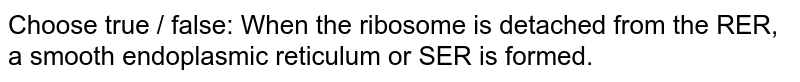 Choose true / false: When the ribosome is detached from the RER, a smooth endoplasmic reticulum or SER is formed.
