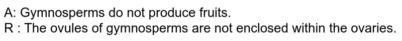 A: Gymnosperms do not produce fruits. R : The ovules of gymnosperms are not enclosed within the ovaries.