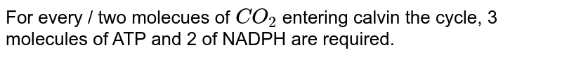 For every / two molecues of `CO_(2)` entering calvin the cycle, 3 molecules of ATP and 2 of NADPH are required. 