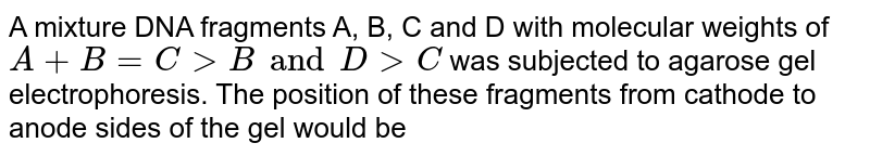 A mixture DNA fragments A, B, C and D with molecular weights of A + B = C gt B and D gt C was subjected to agarose gel electrophoresis. The position of these fragments from cathode to anode sides of the gel would be