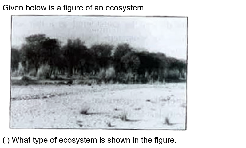 Given below is a figure of an ecosystem. (i) What type of ecosystem is shown in the figure.