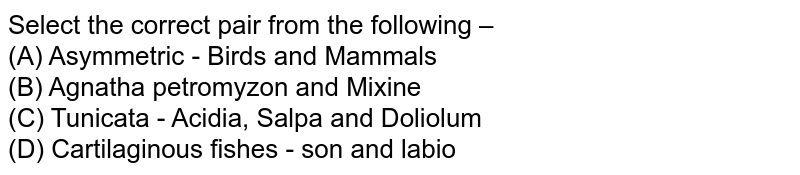 Sort the correct pair from the following - (A) Asymmetrical - Birds and Mammals (B) Agnetha Petromyzon and Mixin (C) Tunicata - Acidia, Salpa and Dollyolum (D) Cartilage fishes - son and labio