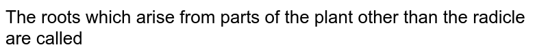The roots which arise from parts of the plant other than the radicle are called
