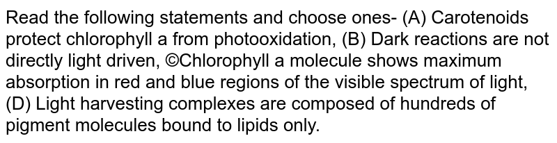 Read the following statements and choose ones- (A) Carotenoids protect chlorophyll a from photooxidation, (B) Dark reactions are not directly light driven, ©Chlorophyll a molecule shows maximum absorption in red and blue regions of the visible spectrum of light, (D) Light harvesting complexes are composed of hundreds of pigment molecules bound to lipids only.