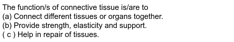 The function/s of connective tissue is/are to (a) Connect different tissues or organs together. (b) Provide strength, elasticity and support. ( c ) Help in repair of tissues.