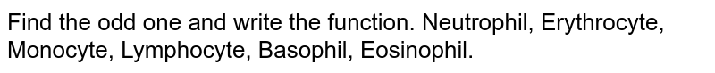 Find the odd one and write the function. Neutrophil, Erythrocyte, Monocyte, Lymphocyte, Basophil, Eosinophil.