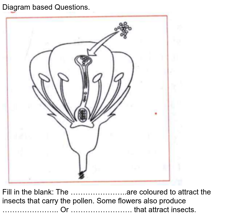 blank flower diagram