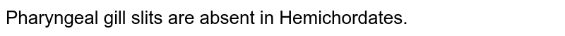 Pharyngeal gill slits are absent in Hemichordates.