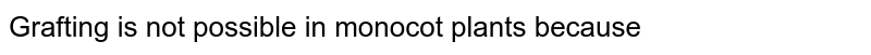 Grafting is not possible in monocots because they