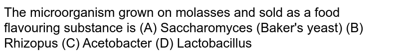 The microorganism grown on molasses and sold as a food flavouring substance is (A) Saccharomyces (Baker's yeast) (B) Rhizopus (C) Acetobacter (D) Lactobacillus