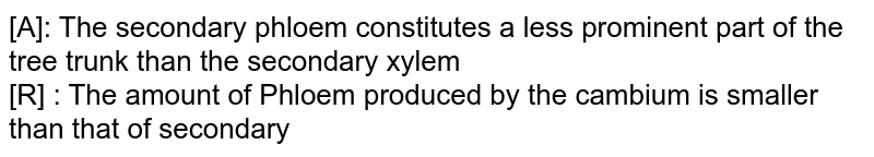 [A]: The secondary phloem constitutes a less prominent part of the tree trunk than the secondary xylem [R] : The amount of Phloem produced by the cambium is smaller than that of secondary