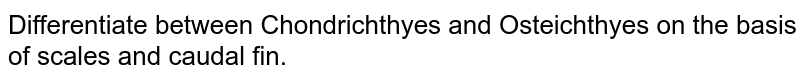 Differentiate between Chondrichthyes and Osteichthyes on the basis of scales and caudal fin.