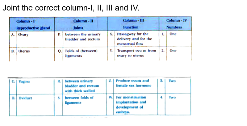 Joint the correct column-I, II, III and IV.