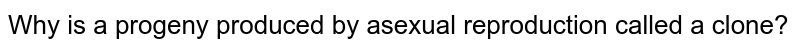 Why is a progeny produced by asexual reproduction called a clone?