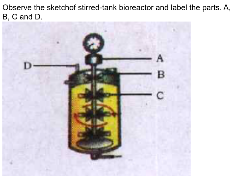 Draw a labelled sketch of sparged stirredtank bioreactor. Write