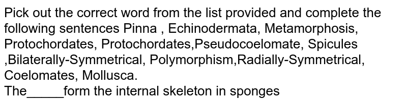 Pick out the correct word from the list provided and complete the following sentences Pinna , Echinodermata, Metamorphosis, Protochordates, Protochordates,Pseudocoelomate, Spicules ,Bilaterally-Symmetrical, Polymorphism,Radially-Symmetrical, Coelomates, Mollusca. The_____form the internal skeleton in sponges