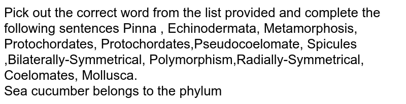 Pick out the correct word from the list provided and complete the following sentences Pinna , Echinodermata, Metamorphosis, Protochordates, Protochordates,Pseudocoelomate, Spicules ,Bilaterally-Symmetrical, Polymorphism,Radially-Symmetrical, Coelomates, Mollusca. Sea cucumber belongs to the phylum