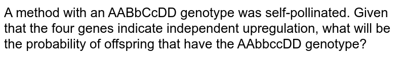 A method with an AABbCcDD genotype was self-pollinated. Given that the four genes indicate independent upregulation, what will be the probability of offspring that have the AAbbccDD genotype?