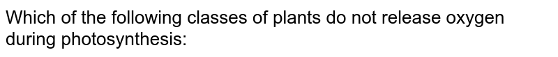 Which of the following classes of plants do not release oxygen during photosynthesis: