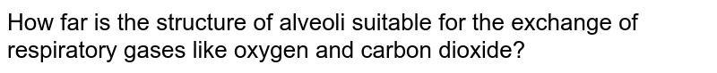 How far is the structure of alveoli suitable for the exchange of respiratory gases like oxygen and carbon dioxide?