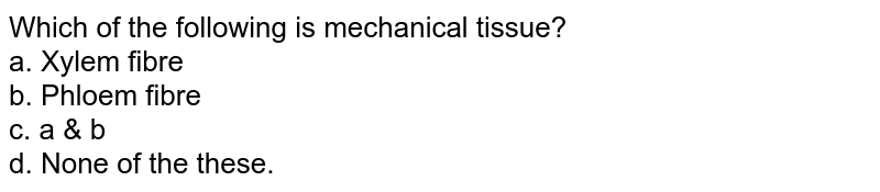 Which of the following is mechanical tissue? a. Xylem fibre b. Phloem fibre c. a & b d. None of the these.