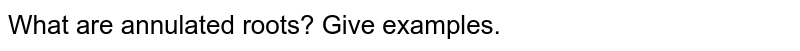 What are annulated roots? Give examples.